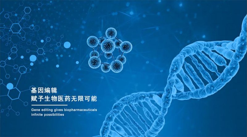 基因检测：开启个性化医疗的新篇章