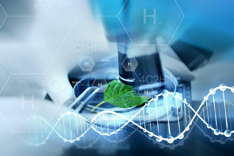 中科弘方解读：绿色节能新风系统引领科技革新