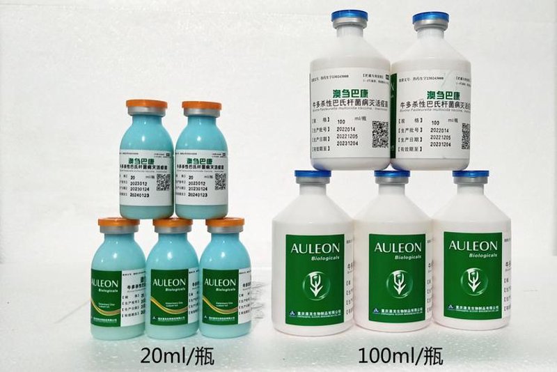 基因检测行业动态分析：解锁未来健康管理新窗口